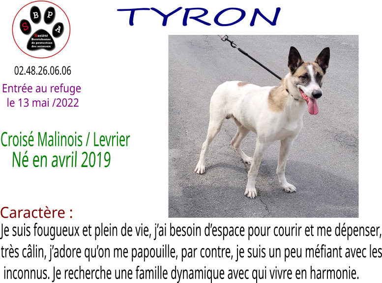 tyron