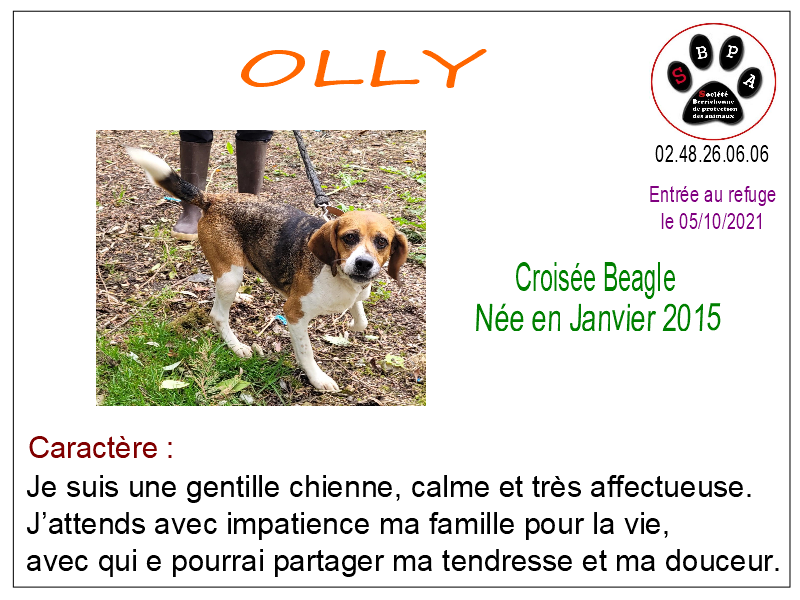 olly