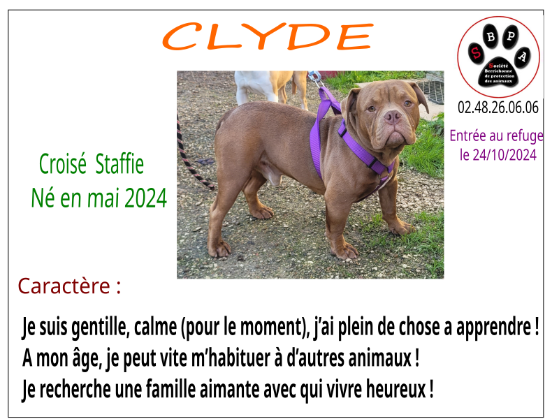CLYDE