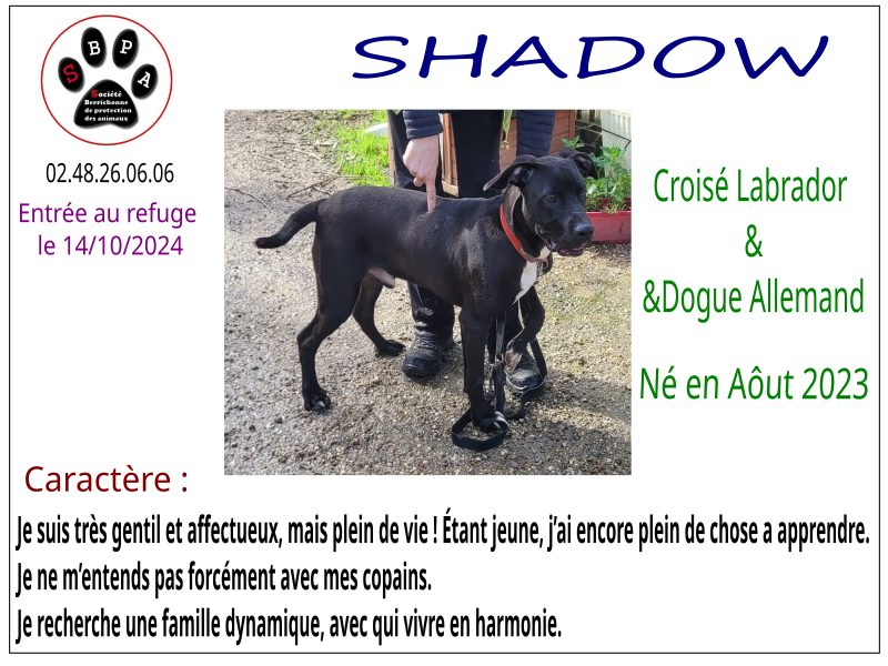 shadow