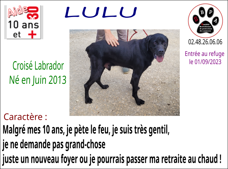 lulu