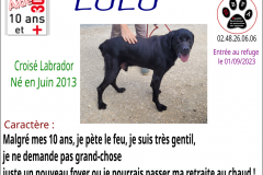 lulu