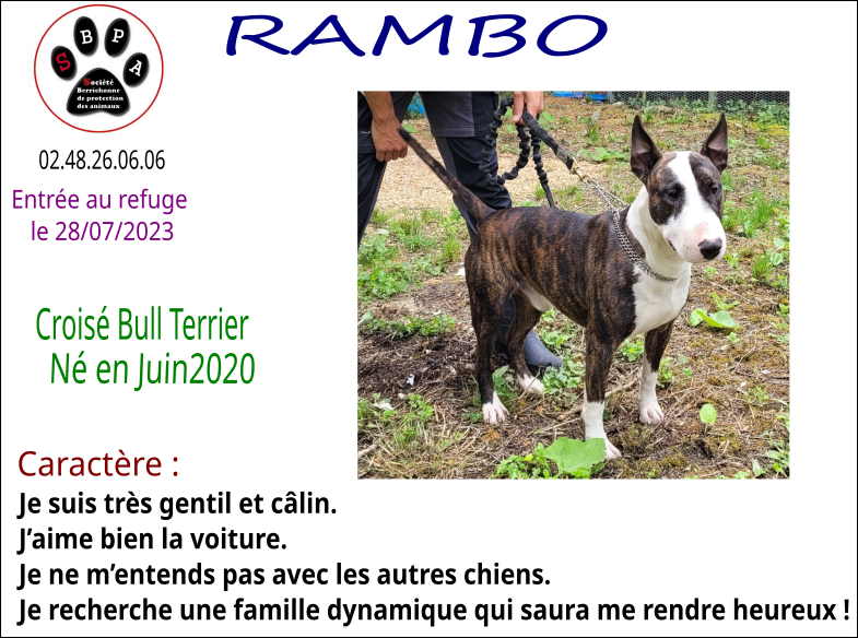 rambo