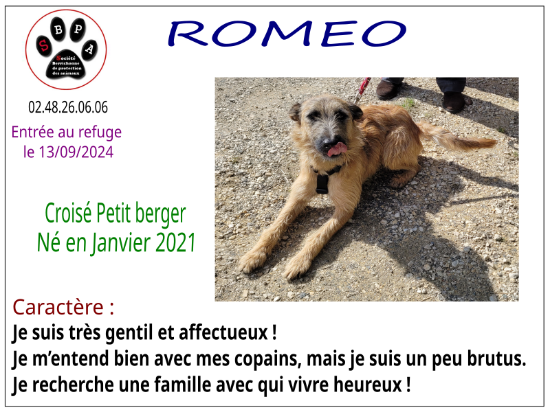 romeo