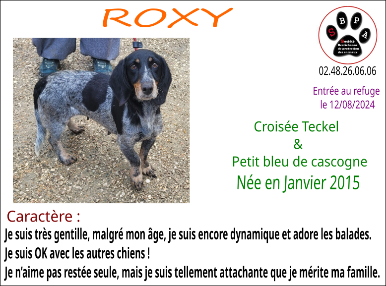 roxy