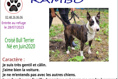 rambo