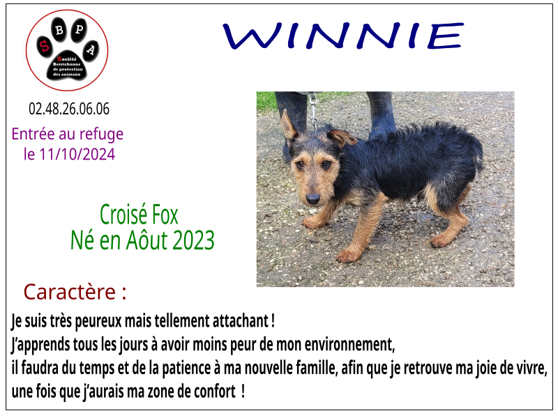 winnie