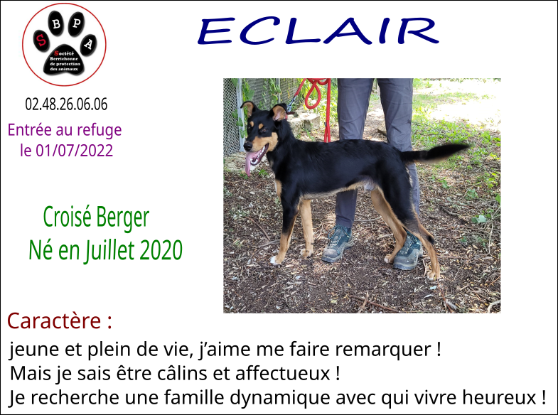 eclair