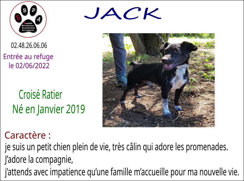jack
