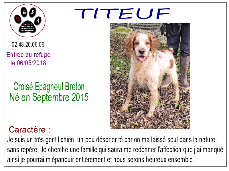 titeuf