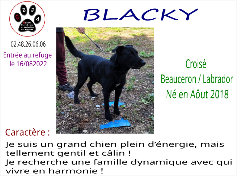 blacky