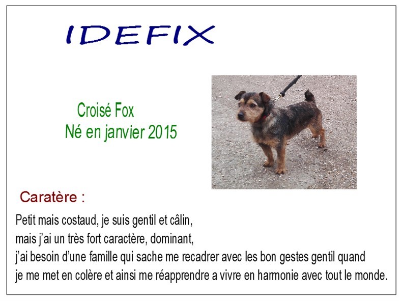 idefix