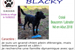 blacky