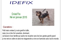 idefix