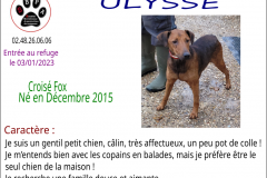 ulysse