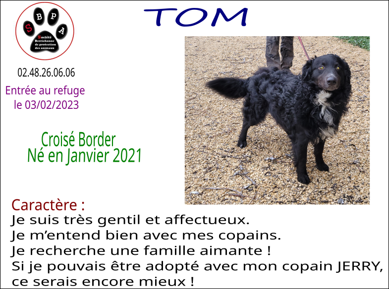 tom