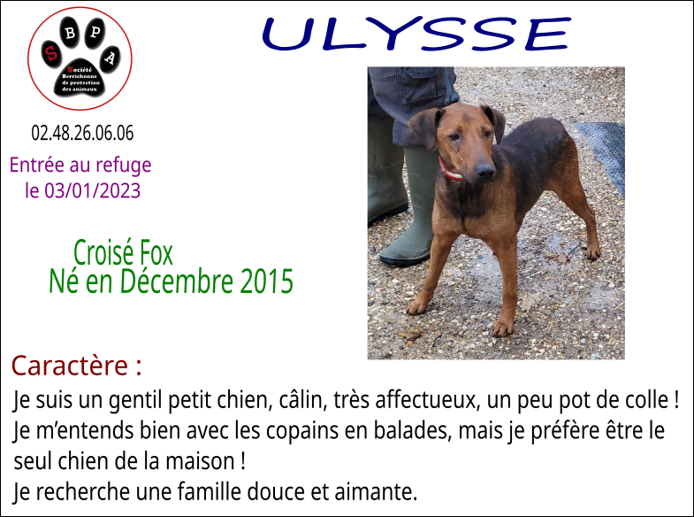 ulysse